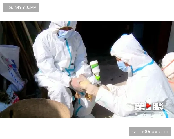 广东队-1-2-2-联防框架构建多重屏障，箱型陷阱形成三面合围